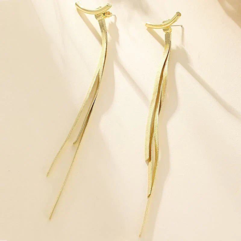 Tassel Earrings With Female, Long Snake Bone Chain Earrings