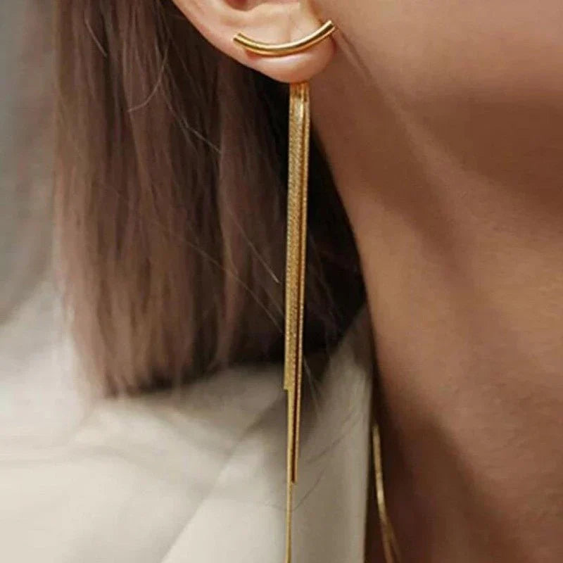 Tassel Earrings With Female, Long Snake Bone Chain Earrings